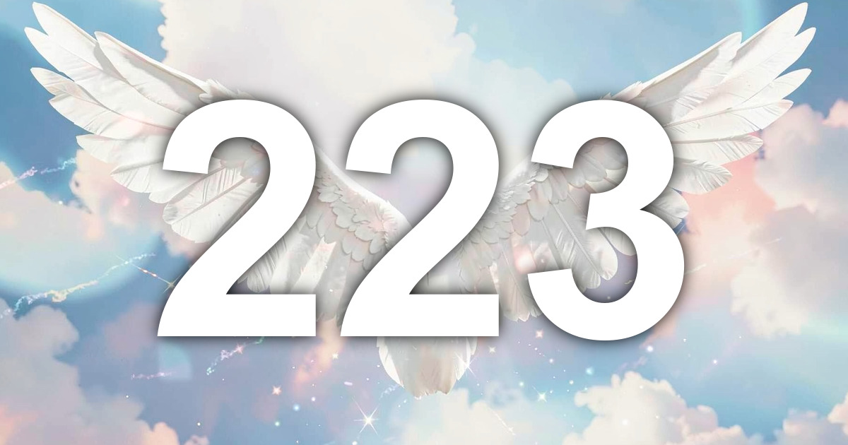 223 Angel Number Meaning: Encouraging Union and What to Do | All Angel ...