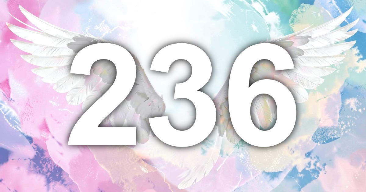 236 Angel Number Meaning: Gentle Reassurance and What to Do | All Angel ...