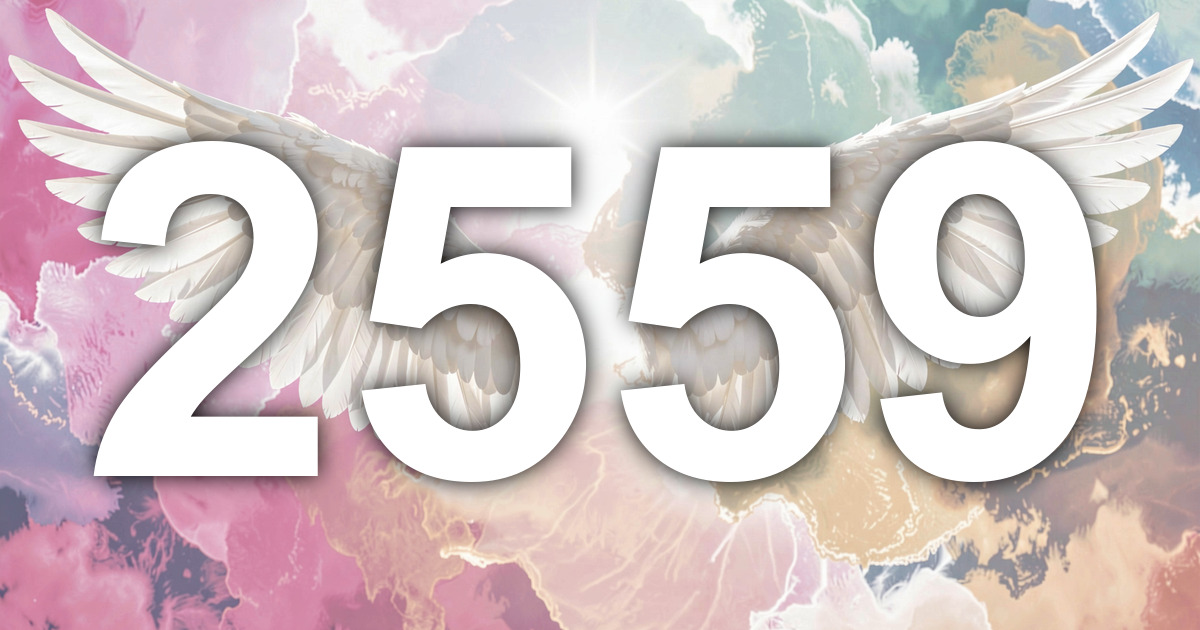 2559 Angel Number Meaning: The End of an Unstable Chapter | All Angel ...