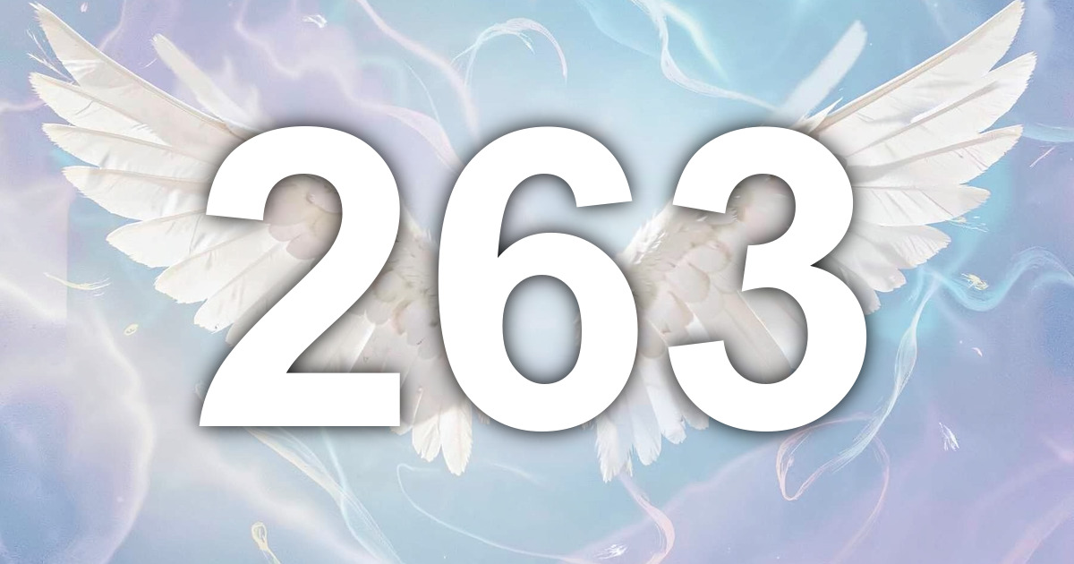 263 Angel Number Meaning: Healing Conversation and What to Do | All ...