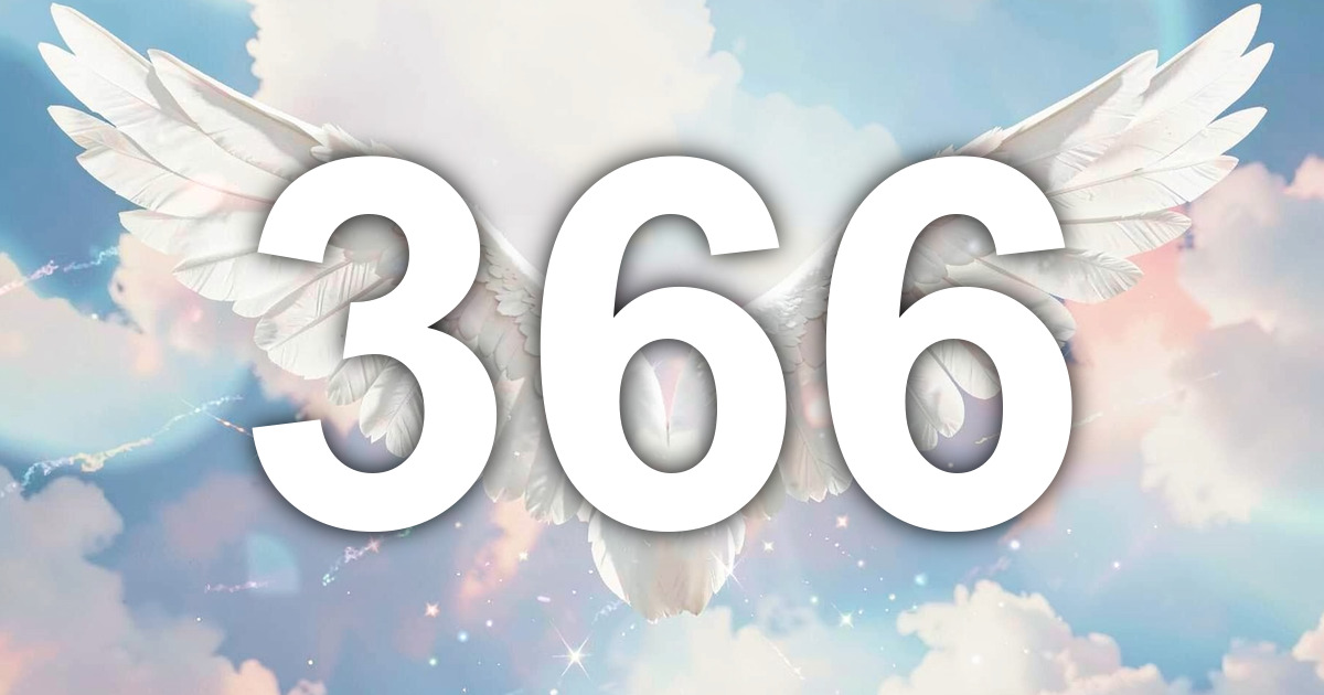 366 Angel Number Meaning | All Angel Numbers