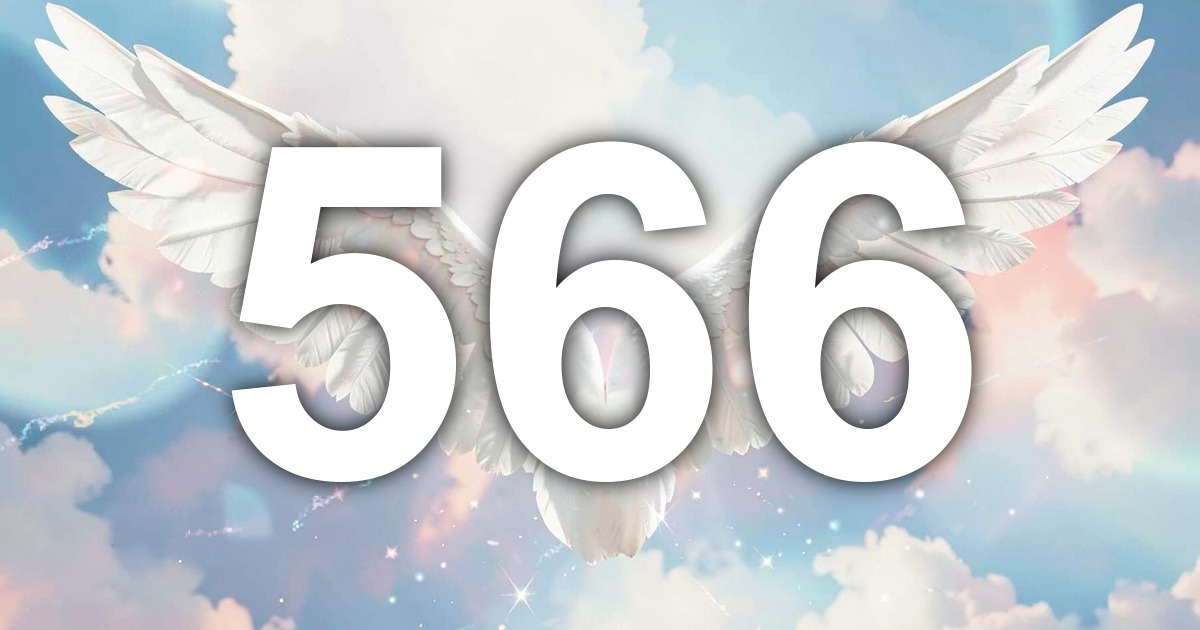 Angel Number 566: Meaning, Message, and the Compassionate Force Being ...