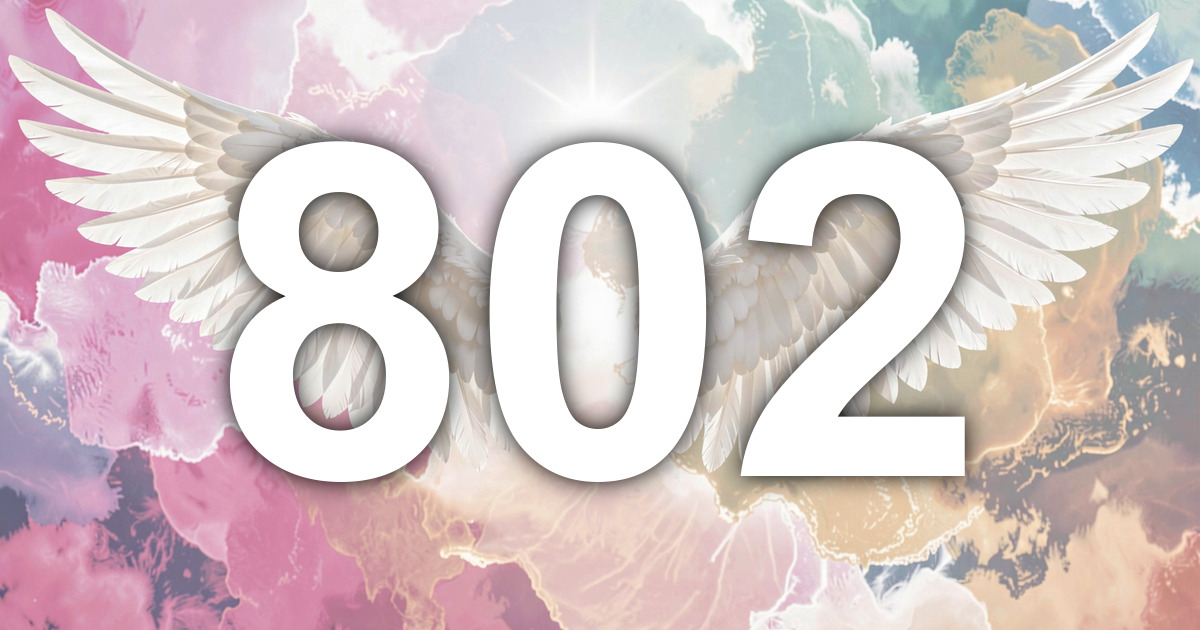 Angel Number 802: When Material Authority Meets Its Match in ...