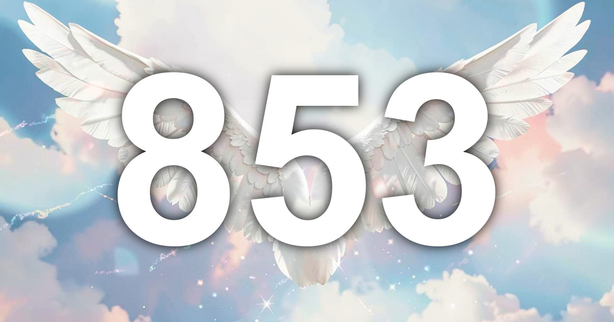 Angel Number 853: A New Voice Through Real Change | All Angel Numbers
